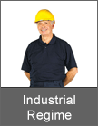 Deb Industrial Regime